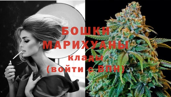 прущие грибы Абдулино