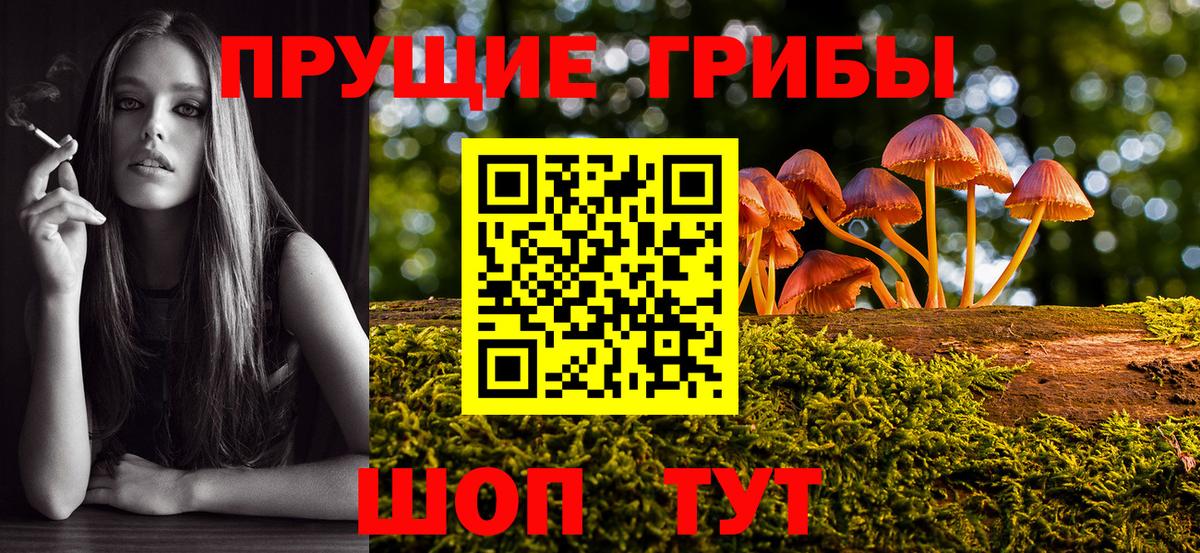 Зеленокумск  цены наркотик  Вход с VPN  Галлюциногенные грибы MAGIC MUSHROOMS 