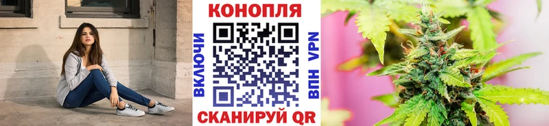 Конопля семена  Зеленокумск 