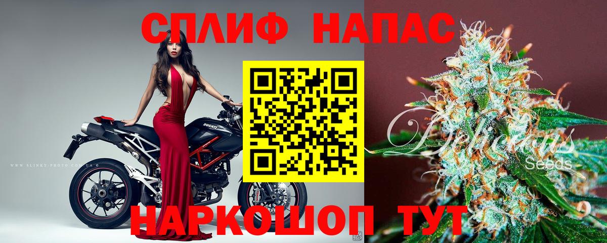 Канабис AK-47 Зеленокумск